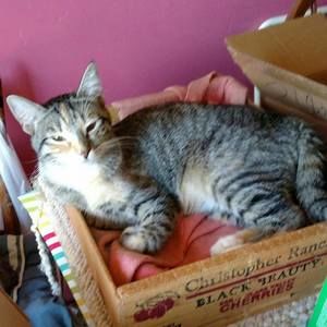 Meet your Posher, Wanda